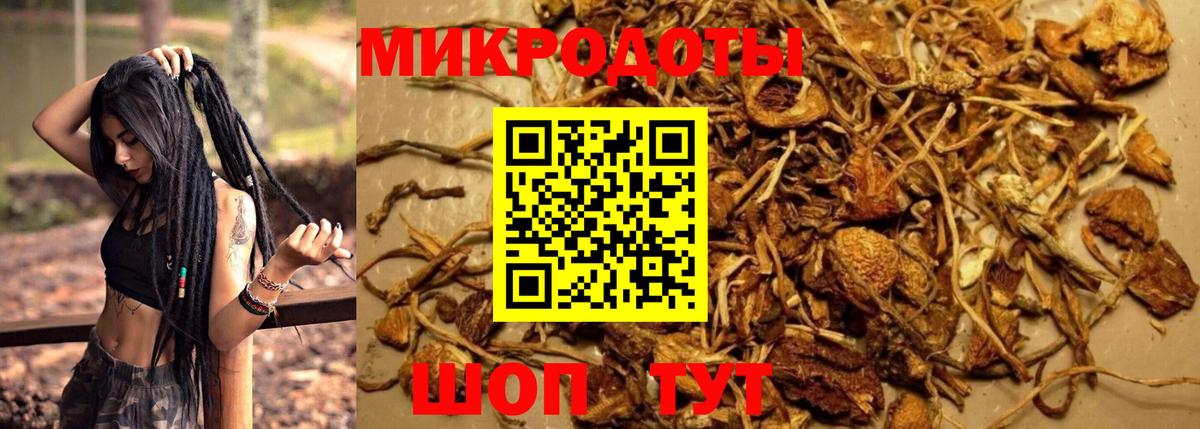 Галлюциногенные грибы мухоморы Заволжье